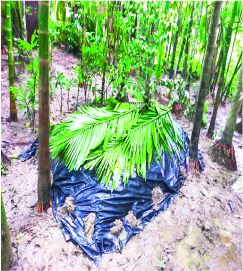 Image of মো: ওসমান পাটওয়ারী